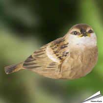 DecoBird - Jonge Huismus | Houtgesneden vogel | lindenhout