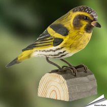 DecoBird - Sijs | Houtgesneden vogel | lindenhout
