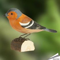 DecoBird - Boekvink | Houtgesneden vogel | lindenhout