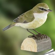 DecoBird - TjifTjaf | Houtgesneden vogel | lindenhout