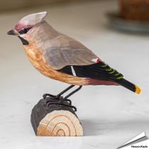 Houtgesneden vogel - Pestvogel - Decobird