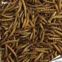 Gedroogde meelwormen
