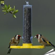 Goldfinch Finder™