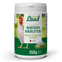 HÜHNER Land Weidenkruiden voor Kippen (250g)