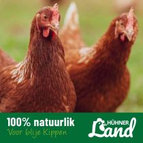 Kippen Vitamine voor blij en gezonde Kippen en Kwartels | Aniculis Onlineshop