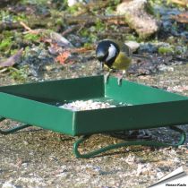 Metaal-Grondvoedertafel voor tuinvogels (groen)