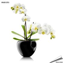 Orchidee pot (zwart)