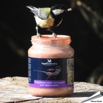 Pindakaas voor tuinvogels - Met bosvruchten (300ml)