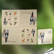 Servetten - Tuinvogels (20 stuks)