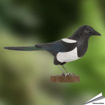 Wildlife Garden DecoBird | Ekster | Online kopen | Hoezo-Kado