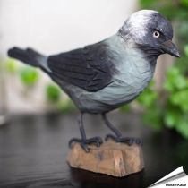 Wildlife Garden DecoBird | Kauw | Online kopen