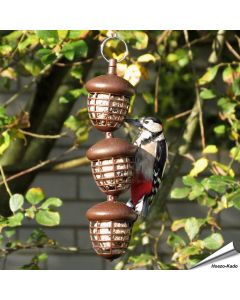 Vetbollenautomaat Acorn (3 vetbollen) | Voor tuinvogels | Hoezo-Kado