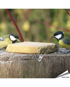 Ben je een vogelliefhebber en op zoek naar een gezonde en lekkere traktatie voor je gevogelde vrienden? Kijk dan niet verder! Onze vegetarische vetblokken zijn gemaakt van plantaardig vet en pinda's, waardoor je vogels een voedzame/lekkere snack krijgen