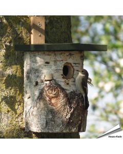 Berkenhouten nestkast (32mm)