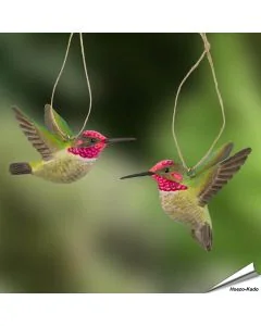 DecoBird - Anna Kolibrie