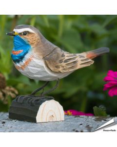 Houtgesneden vogel in de vorm van een Blauwborst is een mooie decoratie waar het hele gezin dol op zal zijn ✔️ Levensecht vorm- en kleur gegeven model ➤ Koop nu online bij Hoezo-Kado