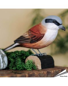 Houtgesneden vogel in de vorm van een Grauwe klauwier is een mooie decoratie waar het hele gezin dol op zal zijn ✔️ Levensecht vorm- en kleur gegeven model ➤ Koop nu online bij Hoezo-Kado