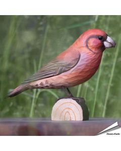 Houtgesneden vogel in de vorm van een Kruisbek is een mooie decoratie waar het hele gezin dol op zal zijn ✔️ Levensecht vorm- en kleur gegeven model ➤ Koop nu online bij Hoezo-Kado