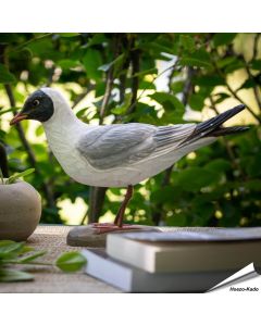 Houtgesneden vogel in de vorm van een Kokmeeuw is een mooie decoratie waar het hele gezin dol op zal zijn ✔️ Levensecht vorm- en kleur gegeven model ➤ Koop nu online bij Hoezo-Kado