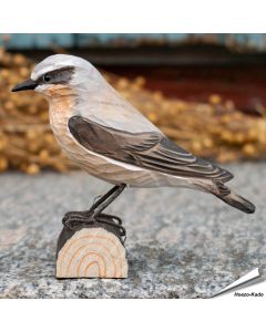 Houtgesneden vogel in de vorm van een Tapuit is een mooie decoratie waar het hele gezin dol op zal zijn ✔️ Levensecht vorm- en kleur gegeven model ➤ Koop nu online bij Hoezo-Kado