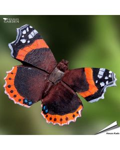 DecoButterfly - Koelkast Magneet - Atalanta