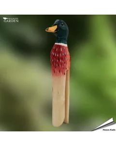 DecoClip / Wasknijper Eend