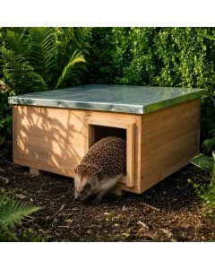 Houten Egelhuis XL van Wildlife Home met metalen dak, geplaatst tussen groene planten in de tuin, terwijl een egel uit de ingang loopt.