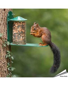 Eekhoorn Voederhuis metaal - Speciaal voor Eekhoorns - www.hoezo-kado.nl