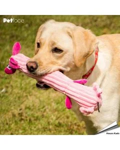 Hondenspeeltje-Farmyard Buddies - Pig Stick