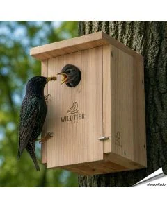 Nestkast voor de spreeuw en grote bonte specht ✔️ Onbehandeld massief hout ✔️ Geschikt voor grote holenbroeders ✔️ Weerbestendig ➤ Koop nu bij Hoezo-Kado.nl