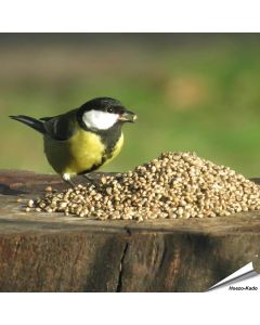 Kempzaad - Tuinvogelvoer voor wilde vogels - Hoezo-Kado