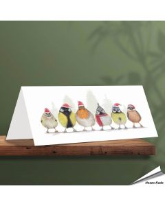 Kerstkaart met leuke teuinvogels - Voor natuurliefhebbers - www.hoezo-kado.nl