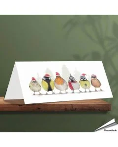 Kerstkaart met leuke teuinvogels - Voor natuurliefhebbers - www.hoezo-kado.nl