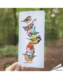 Vrolijke kerstkaart met kleurrijke, bekende tuinvogels ✔️ Gedrukt op FSC-gecertificeerd papier ✔️ Inclusief kraft envelop ➤ Bestel nu bij Hoezo-Kado