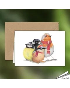 Kerstkaart met een leuke roodborst, pimpelmees, koolmees en boomklever - www.hoezo-kado.nl