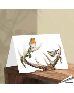 Kerstkaart met een leuke Roodborst, Boomklever en gewei - www.hoezo-kado.nl