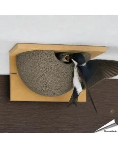 Nestkast voor de huiszwaluw ✔️ Aanbevolen door Vogelbescherming NL ✔️ FSC-gecertificeerd houtbeton / hout ✔️ Kunstnest ✔️ Koop nu bij Hoezo-Kado