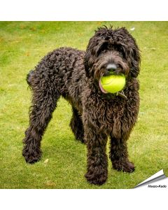 Mega Tennisbal (150mm)