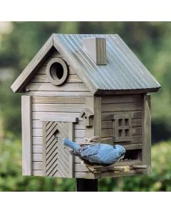 Boomklever eet vogelvoer bij de Multiholk Green Umber van Wildlife Garden, een bruingroen houten nestkast en voederhuis met ronde invliegopening, sierdeur en voederplek met zitstokjes.
