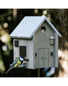 Koolmees eet vogelvoer bij de Multiholk Modern Nordic van Wildlife Garden, een grijs houten nestkast en voederhuis met lichtgrijs zadeldak op een tuinpaal.