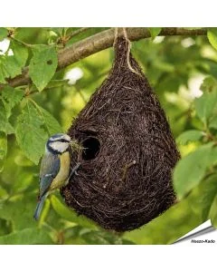 nestbuidel nestkast mezen, kreupelhouten nestkast, leuke nestkast, holennestkast, boomklever
