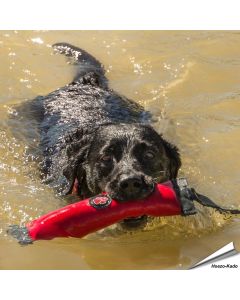 Outdoor Paws - Retriever