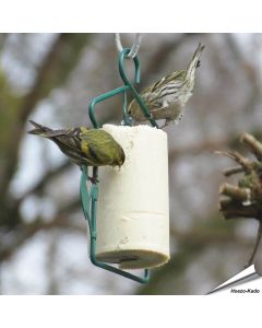 Pindacake voor vogels - Met insecten (500ml)