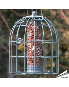 Voedersilo Compact met beschermkooi voor pinda's (zeegroen)