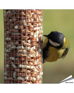 Hoogwaardige pinda’s gemengd met vet pellets ✔️ Energie- en eiwitrijk vogelvoer voor je pindasilo’s ✔️ Het hele jaar door tuinvogels voeren ➤ Online kopen bij Hoezo-Kado