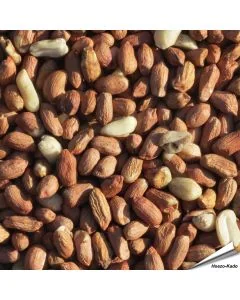 Premium pinda's (12.75 kg)