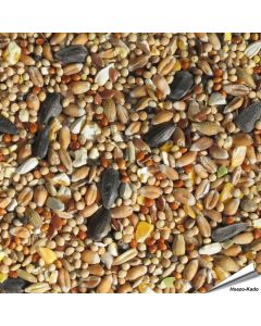 Premium Wilde Vogelzaad-Mix