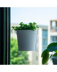 Raambloempot (S) - Wit