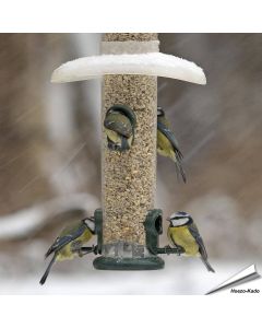 RainAway - Regenkap voor voedersilo's