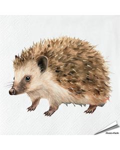 Servetten Egel | 20 stuks | FSC & 3-laags | Hoezo-Kado